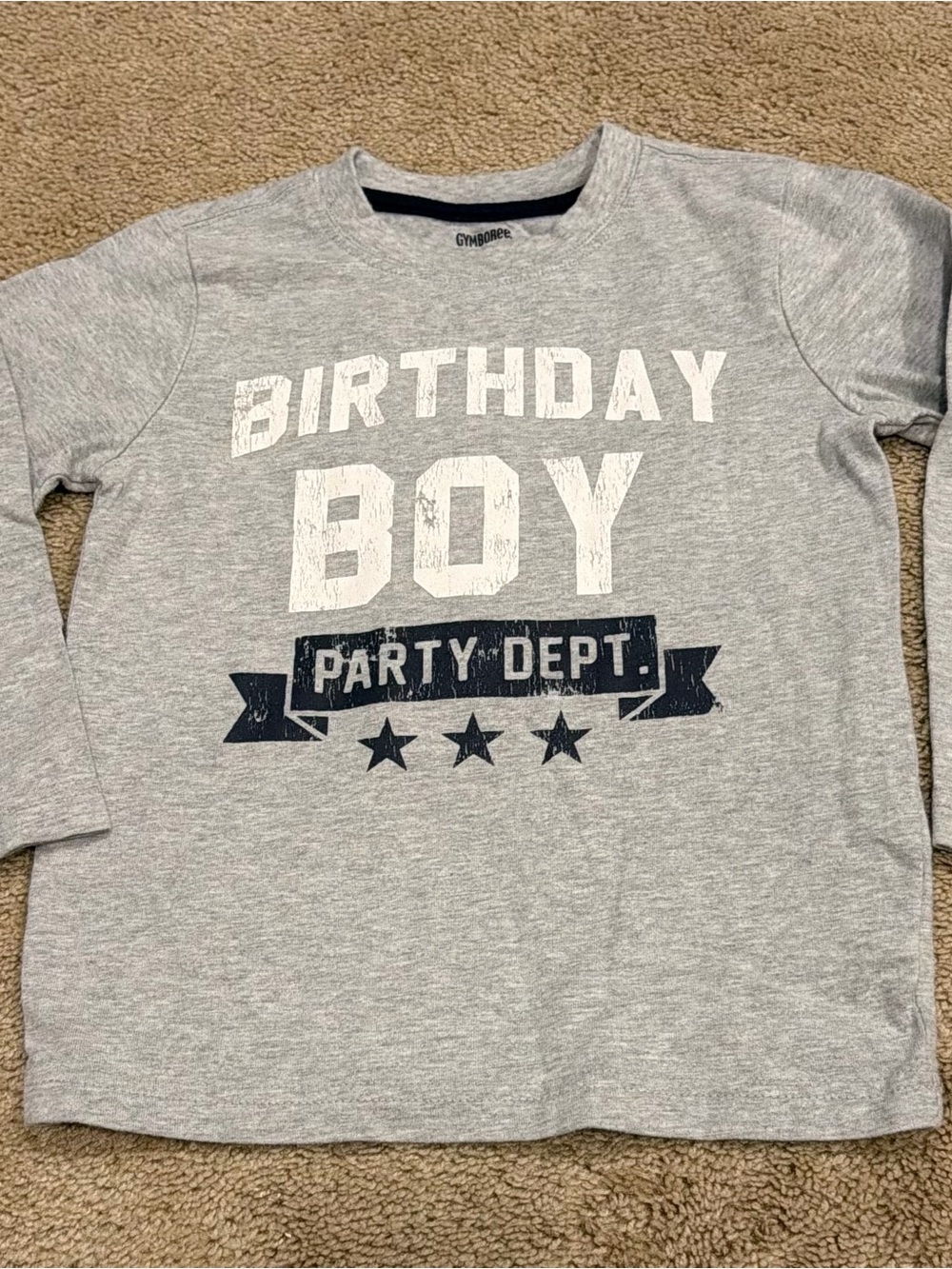 Birthday Boys 3T Gymboree Shirt Gray Cotton Long Sleeve Crew Neck Party Dept Tee